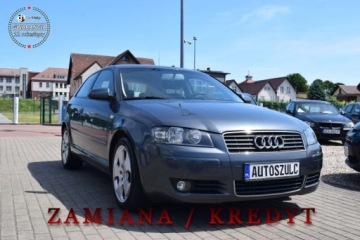 Audi A3 8P Hatchback 3d 1.9 TDI 105KM 2005 Audi A3 3-drzwiowe 1.9 TDI, Zarejetrowany, 3-drzwi, Miejski, Zgrabny, Bez