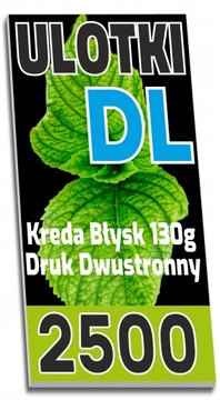 ULOTKA dwustronna DL KREDA Błysk 130g - 2500 sztuk