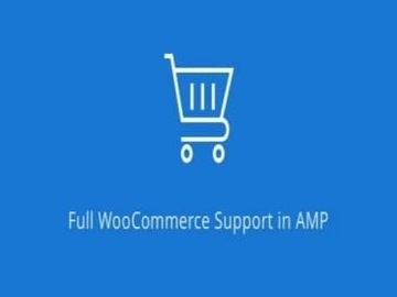 Wtyczka Amp Woocommerce Pro