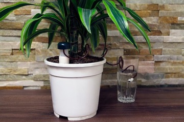 Диспенсер для полива растений, цветов, увлажнитель воздуха, СИСТЕМА ОРОШЕНИЯ, цветы, 2x