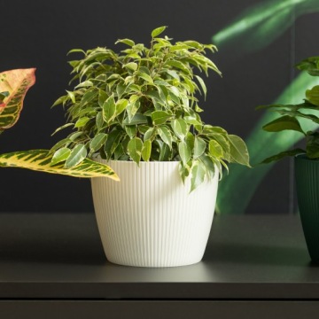 ЦВЕТОЧНЫЙ ГОРШОК ГОРШОК ДЛЯ РАСТЕНИЙ МАГНОЛИЯ ДЖЕМПЕР ЭКО ПЕРЕРАБОТАННЫЙ 160 АНТРАЦИТ