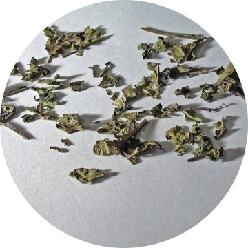 Ortosyfon susz Orthosiphon stamineus, ziele ortosyfonu suszone 250 g