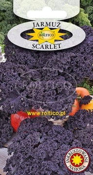 Jarmuż Fioletowy Scarlet Nasiona 1g Roltico