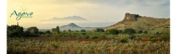 НАБОР ДЛЯ НАНОПЛАСТИКИ КЕРАТИНА AGAVE HEALING