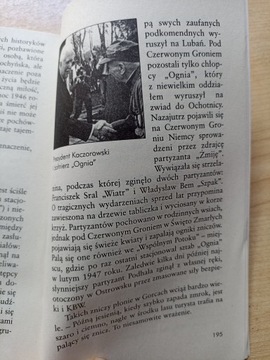 Виарусы. Огненный Курас - Ян Щерковский