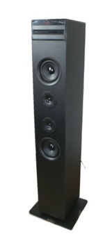 Auna 10032105 Mega Głośnik Karaoke CD BT radioFM
