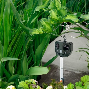 ПРОФЕССИОНАЛЬНЫЙ ОТПУСКАТЕЛЬ ДЛЯ ЖИВОТНЫХ КОШЕК СОБАК ПТИЦ Мышей Крыс СОЛНЕЧНАЯ