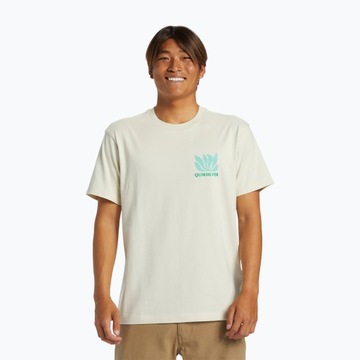 Мужская футболка Quiksilver Natural Forms Mor серебристая береза ​​M