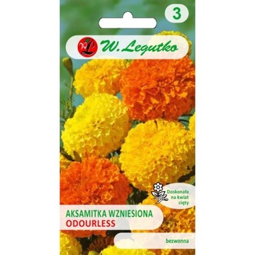 AKSAMITKA WZNIESIONA ODOURLESS BEZWONNA 1G LEGUTKO