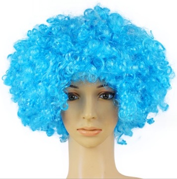 KOLOROWA PERUKA WŁOSY AFRO KARNAWAŁ PARTY FOTOBUDKA URODZINY