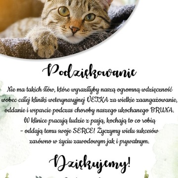 Плакат с благодарностью за рамку ВЕТЕРИНАРНЫЙ доктор