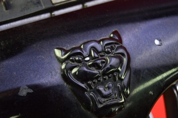 JAGUAR X-TYPE MASKA MŘÍŽKA NÁRAZNÍKU 1X43-5510-AE