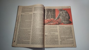 Детектив 2 1991 г.