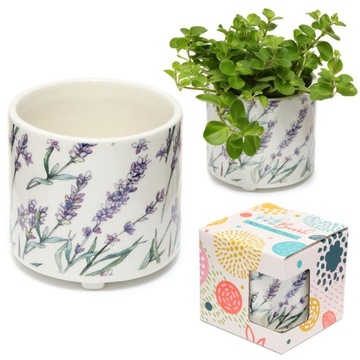 Ceramiczna doniczka osłonka 8cm Pole Lawendy