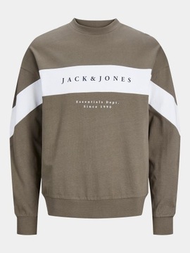 Jack&Jones Bluza Etimo 12249979 Zielony Loose Fit