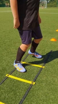 Большой набор 30 в 1. ТЕХНИКА КООРДИНАЦИОННОЙ ЛЕСТНИЦЫ БЕЗ ШИФРОВ, 6x С препятствиями