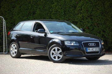 Audi A3 8P Hatchback 3d 1.6 102KM 2010 Audi A3 Lift Automat 5drzwi1.6MPI Klimatronic Alu Lato+Zima