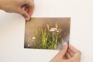 Самоудлеящаяся сама-летежательная масса белого крепления 2x75G / 150G