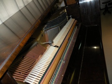 = Суперпианино Baumgard 120 см