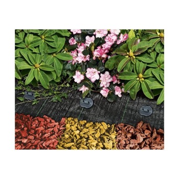 Красные рамки 50 л Геола