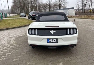 Ford Mustang VI Convertible 2.3 EcoBoost 317KM 2016 Ford Mustang Ford Mustang, zdjęcie 4