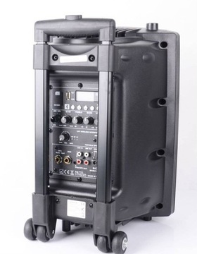 Мобильная колонка PORT8UHF-BT-TWS, 2 микрофона, чехол для пульта дистанционного управления
