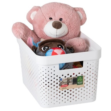 Контейнер для хранения с изогнутой крышкой SET