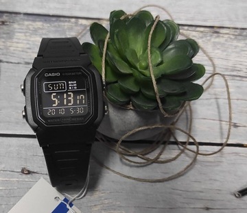 SPORTOWY MŁODZIEŻOWY ZEGAREK CASIO W-800H -1BVES