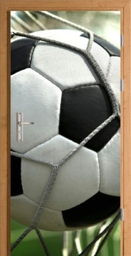 FOTOTAPETA NA DRZWI MEBLE OKLEINA SPORT PIŁKA