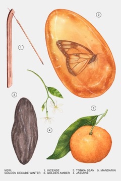 Духи Zara GOLDEN DECADE WINTER 80 ML Женские