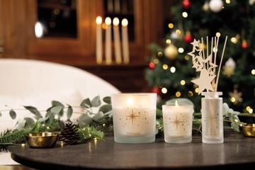 АРОМАТИЧЕСКИЙ ДИФФУЗОР 100 мл Звездная ваниль 2024 Esteban