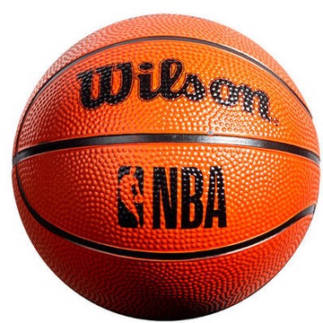 WILSON NBA FORGE MINI HOP БАСКЕТБОЛЬНАЯ ДВЕРНАЯ ДОСКА + мини-ШАР