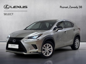 Lexus NX I SUV Facelifting 300h 197KM 2021 Lexus NX 300h F Impression AWD I (2014-2021) 300h