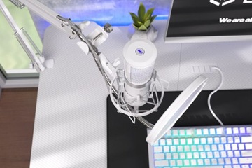 Mikrofon ENDORFY Solum Streaming Onyx White SM950