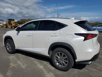 Lexus NX I 2020 Lexus NX 300 Base 2020 2.0L 2.0 Benzyna 235KM, zdjęcie 1