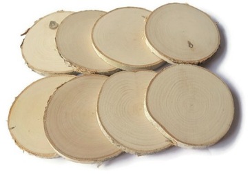 Plastry drewna 8 szt Brzoza krążki szlif 10-12 cm