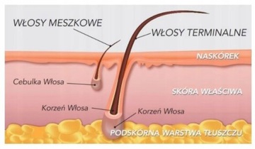 Italwax эпиляция без полосок 5x нагреватель воска