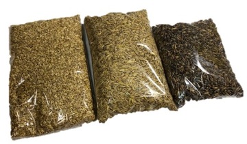 Czempion Zdrowe Ziarno OWIES CZARNY 1kg