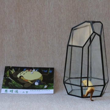 1 х геометрический террариум