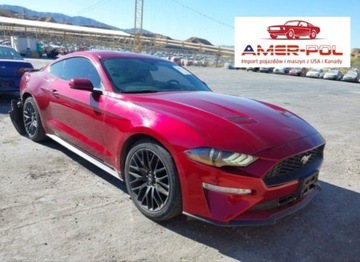 Ford Mustang VI 2019 Ford Mustang 2019r., ECOBOOST, od ubezpieczalni 2.3 Benzyna 310KM