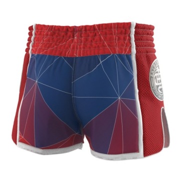 Шорты для муай-тай Extream Hobby CZESKI LEW S EXTREME HOBBY