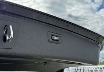 BMW Seria 3 F30-F31-F34 Touring 1.6 316i 136KM 2014 BMW Seria 3 BMW Seria 3 1.6 Benzyna 136KM, zdjęcie 36