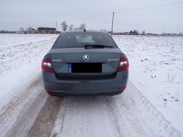 Skoda Octavia III Liftback Facelifting 1.6 TDI 115KM 2017 SKODA OCTAWIA 1.6 TDI 1 WŁAŚCICIELKA, zdjęcie 5