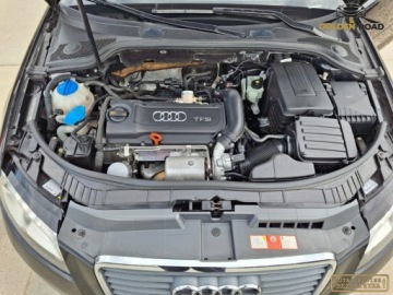 Audi A3 8P Hatchback 3d 1.4 TFSI 125KM 2010 Audi a3 1,4 tfsi 125KM klima elektryka alu xenon grz. fotele oplacony 1.4, zdjęcie 17