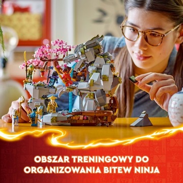 LEGO Ninjago Храм Драконьего Камня 71819