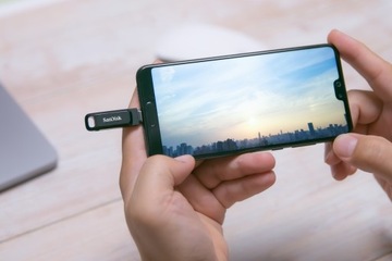 SanDisk USB Type C Ultra Dual Drive 256 ГБ
