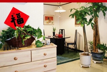 2023 Chinese Lunar Spring Festival New Year Decoration with Couplets Door