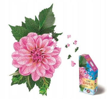 MADD CAPP PUZZLE KONTUROWE DALIE, 350 el.