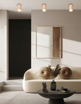 НАВЕРХНОСТНАЯ СВЕТОДИОДНАЯ ПОТОЛОЧНАЯ ТРУБА GU10 LIGHT