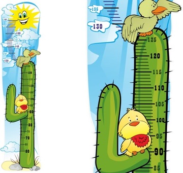 NAKLEJKA naklejki MIARKA miarki WZROSTU do 160cm
